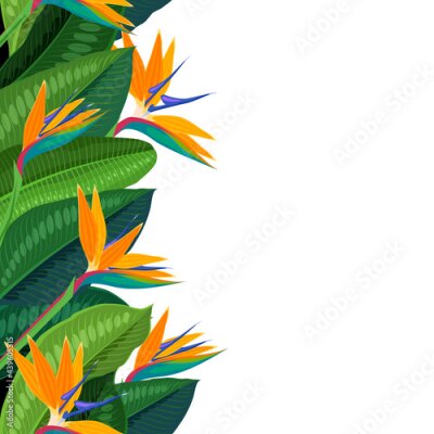 Papier peint  Tropical flower strelitzia, left seamless vertical border. Vector illustration cartoon flat template for packaging design isolated on white background.