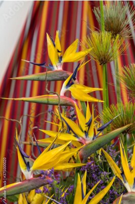Papier peint  Tropical flower strelitzia or bird of paradise on Madeira Island,  Portugal.