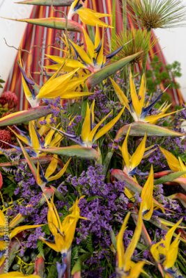 Papier peint  Tropical flower strelitzia or bird of paradise on Madeira Island,  Portugal.