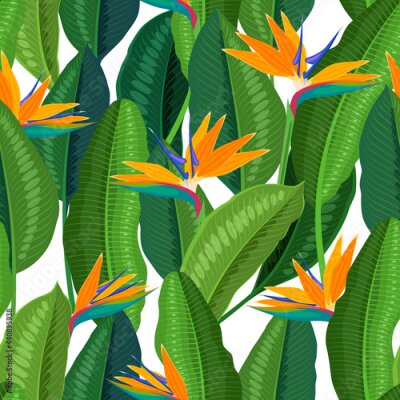 Papier peint  Tropical flower strelitzia, seamless background. Vector illustration cartoon flat template for packaging design and wallpaper.