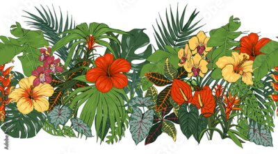 Papier peint  Tropical flowers and leaves, orchids, hibiscus, Heliconia and strelitzia, palm and monstera leaves, seamless pattern, vector illustration