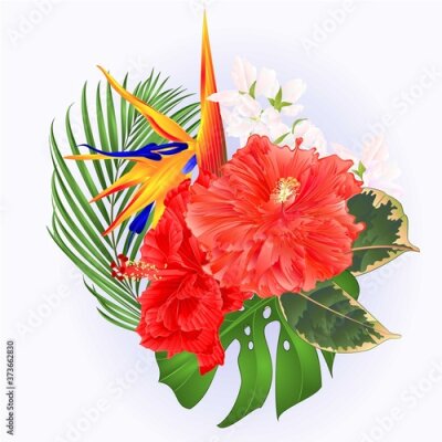 Papier peint  Tropical flowers bouquet with pink hibiscus and   Strelitzia reginae  palm monstera  watercolor vintage vector illustration editable hand draw