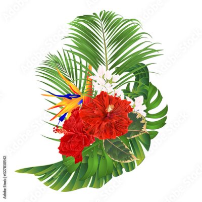 Papier peint  Tropical flowers bouquet with red hibiscus and   Strelitzia reginae  palm monstera leaf banana  vintage vector illustration edizable hand draw