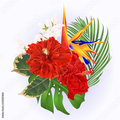 Papier peint  Tropical flowers bouquet with red hibiscus and   Strelitzia reginae  palm monstera  watercolor vintage vector illustration editable hand draw