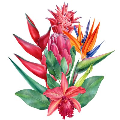 Papier peint  Tropical flowers, callas, orchids, bromeliad, protea, strelitzia. watercolor illustration on isolated white background