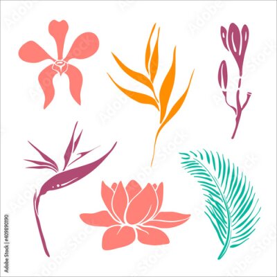 Papier peint  Tropical flowers collection: orchid, lotus, strelitzia, plumeria, heliconia. Hand drawn colorful sketch of tropical flowers and leaves isolated on white background. Vector illustration