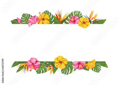 Papier peint  Tropical flowers frame. Hibiscus and strelitzia floral border with place for text. Vector illustration.