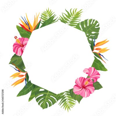 Papier peint  Tropical flowers frame. Hibiscus and strelitzia floral border with place for text. Vector illustration.