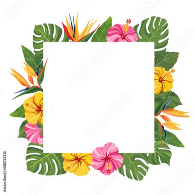 Papier peint  Tropical flowers frame. Hibiscus and strelitzia floral border with place for text. Vector illustration.