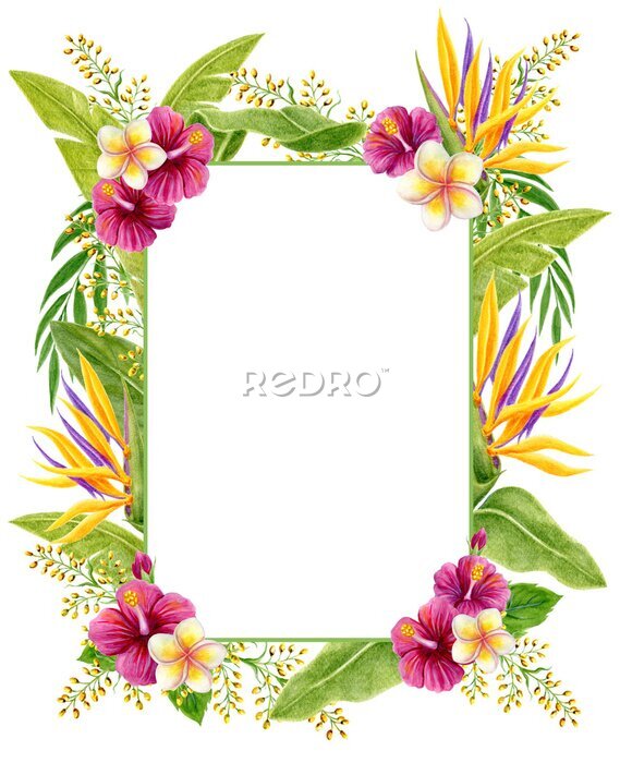 Papier peint  Tropical flowers frame. Watercolor painting with  Hibiscus rose, strelitzia, frangipani and palm leaves isolated on white background. Floral summer border.