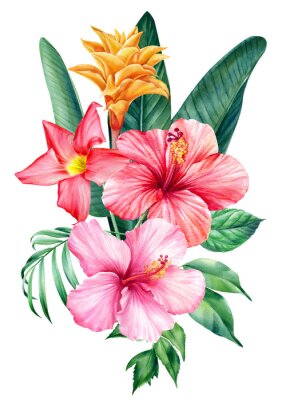 Papier peint  Tropical flowers on isolated white background, watercolor illustration. Strelitzia, hibiscus, palm leaves