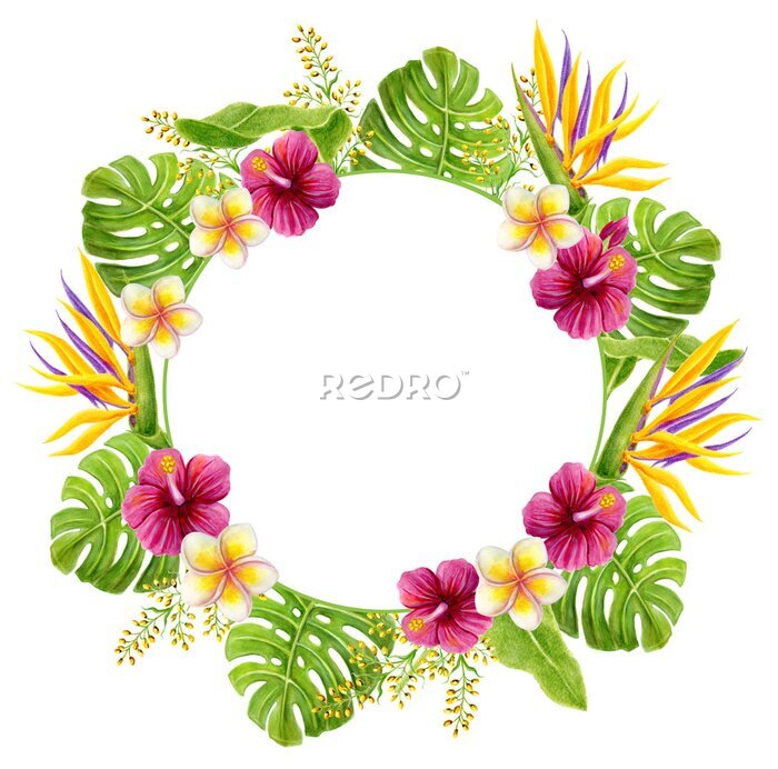 Papier peint  Tropical flowers round frame. Hand drawn watercolor painting with; Hibiscus rose; strelitzia; frangipani and palm leaves isolated on white background. Floral summer border.