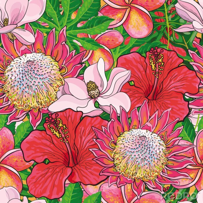 Papier peint  Tropical flowers seamless pattern with hand drawn exotic blooms of hibiscus, protea, magnolia and plumeria with green palm leaves. Colorful floral vector illustration in sketch style.