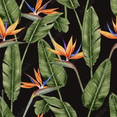 Papier peint  Tropical flowers strelitzia and leaves palm seamless pattern on black background. Watercolor illustration for textile, fabric, wallpaper, card, packaging, party.