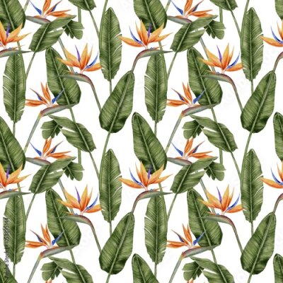 Papier peint  Tropical flowers strelitzia and leaves palm seamless pattern on white background. Watercolor illustration for textile, fabric, wallpaper, card, packaging, party.