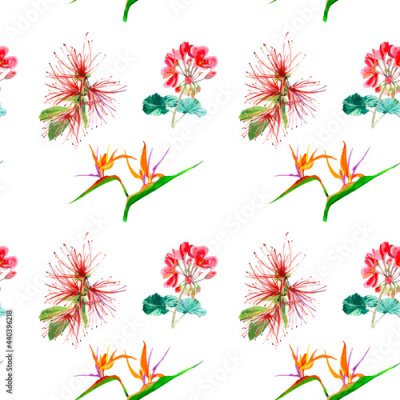 Papier peint  Tropical flowers watercolor isolated on white background seamless pattern for all prints.