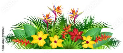 Papier peint  Tropical flowers with palm leaves (strelitzia, hibiscus, heliconia). Hand drawn vector illustration on white background.