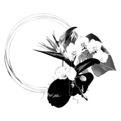 Papier peint  Tropical frame. Graphic frame, orchids, monstera and strelitzia.