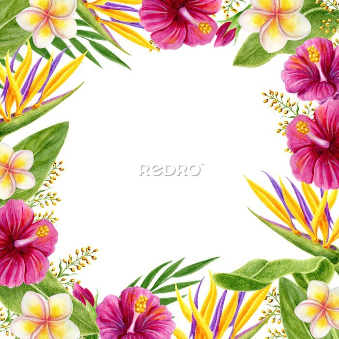 Papier peint  Tropical frame. Hand drawn watercolor painting with hibiscus, strelitzia, paradise bird flowers and palm leaves.