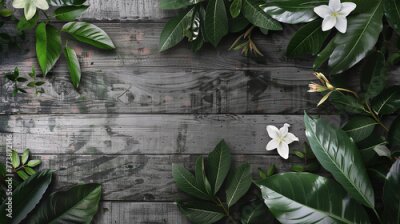 Papier peint  Tropical frame with Calathea leaves, palm leaves and Strelitzia flowers. Tropical green leaves for decoration of art frame wallpaper,card on wooden background.