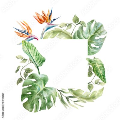 Papier peint  Tropical frame with monstera, palm, banana leaves, strelitzia flowers. Hand drawn watercolor illustration isolated on white. For postcards, invitations, summer banners, covers, labels.