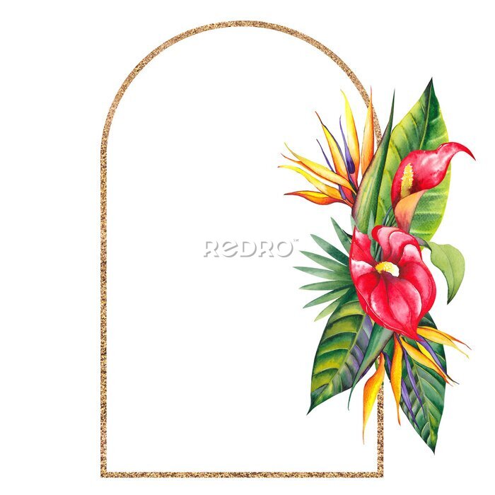 Papier peint  Tropical frame with red lily and strelitzia flowers. Watercolor illustration on white background.