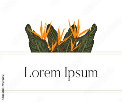 Papier peint  Tropical green leaves and strelitzia reginae flowers frame or border with textspace. Vector illustration.