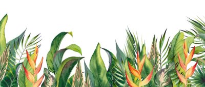 Papier peint  Tropical horizontal border with heliconia flowers and palm leaves. Watercolor illustration on white background.
