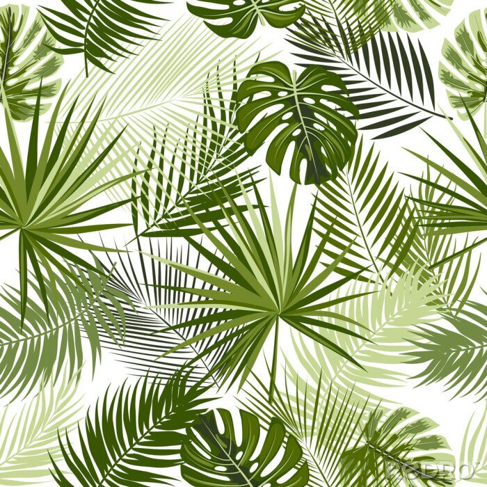 Papier peint  Tropical jungle palm leaves seamless pattern