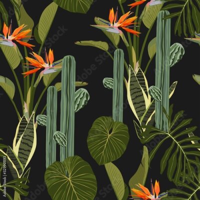 Papier peint  Tropical jungle plants, Sansevieria, cacti, exotic leaves and strelitzia flowers on black background. Beach seamless pattern.