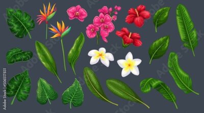 Papier peint  Tropical leaves and flowers in cartoon style, vector illustration. Jungle exotic leaf philodendron, monstera, areca palm, royal fern and plumeria. Strelitzia, hibiscus and orchid.