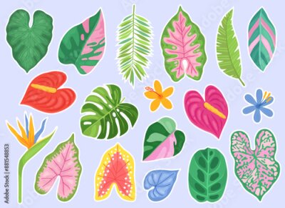 Papier peint  Tropical leaves and flowers of different colors and shapes. Summer stickers. Palm leaves, monstera, philodendron, anthurium, strelitzia. 