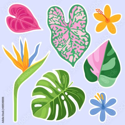 Papier peint  Tropical leaves and flowers of different colors and shapes. Summer stickers. Palm leaves, monstera, philodendron, strelitzia. Green and pink leaves, yellow and blue flowers.