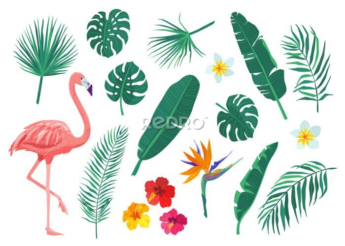 Papier peint  Tropical leaves, flowers vector illustration set. Cartoon flat element with monstera, hibiscus, frangipani, flamingo, strelitzia, banana, palm leaf. Exotic print design isolated on white background