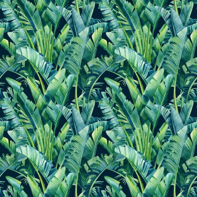 Papier peint  Tropical leaves of banana palm, strelitzia on an isolated background. Watercolor illustration, seamless pattern