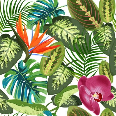 Papier peint  Tropical leaves of palm trees, dieffenbachia and flowers bird of paradise strelitzia . Summer exotic seamless pattern.