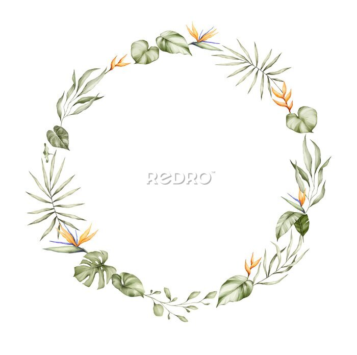 Papier peint  Tropical leaves watercolor wreath. Monstera, strelitzia flowers, palm tree and other jungle plants. Floral frame, botanical card for wedding invitation. 