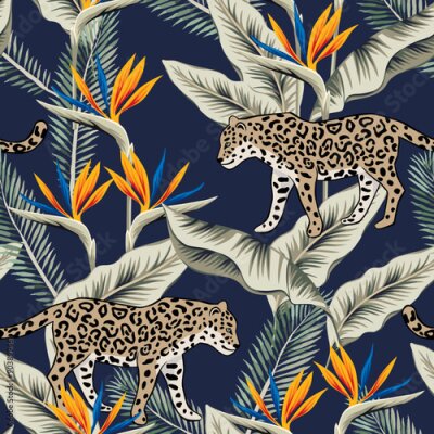 Papier peint  Tropical leopard animal, orange strelitzia flowers, palm leaves, navy blue background. Seamless pattern. Vector illustration. Exotic plants. Summer beach design. Paradise nature