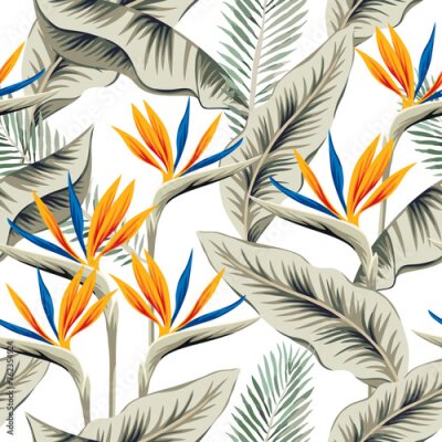 Papier peint  Tropical orange strelitzia flowers, palm leaves, white background. Vector seamless pattern. Jungle foliage illustration. Exotic plants. Summer beach floral design. Paradise nature