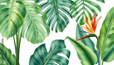 Papier peint  Tropical palm leaves: banana palm, monstera, strelitzia on isolated white background, watercolor botanical illustration AI Generate