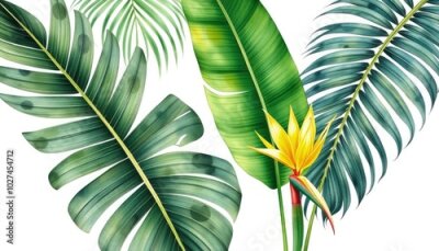Papier peint  Tropical palm leaves: banana palm, monstera, strelitzia on isolated white background, watercolor botanical illustration AI Generate