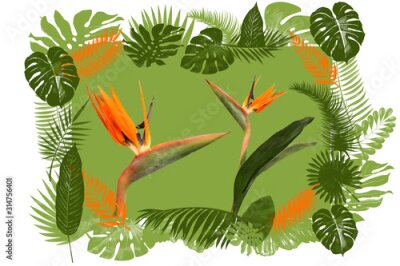 Papier peint  Tropical pattern of green leaves with two flowers of Strelitzia, a Bird of Paradise, on a white background
