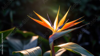 Papier peint  tropical plant strelitzia, generative ai