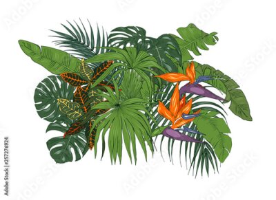 Papier peint  Tropical plants and flowers, palm and monstera leaves, strelitzia flowers, vector illustration