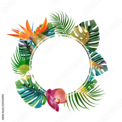 Papier peint  Tropical plants cicle design template. Bird of paradise, monstera, palm leaves composition with blan space.