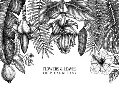 Papier peint  Tropical plants vector frame design. Exotic flowers, citrus fruits, palm leaves sketches collection. Vintage background with tropical flowering plants and leaves. Hand drawn summer template