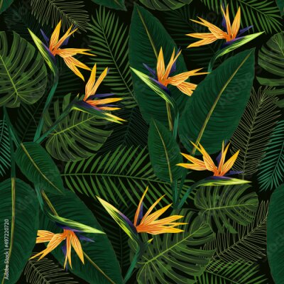 Papier peint  Tropical seamless background. Tropical leaves and flowers on a dark green background. Royal Strelitzia and Monstera leaves. Vector illustration isolated on a white background for design and web.