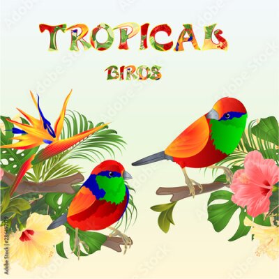Papier peint  Tropical  seamless border  tropical birds Euplectes and tropical flowers  pink and yellow hibiscus and Strelitzia palm,philodendron and ficus vintage vector illustration  editable hand draw