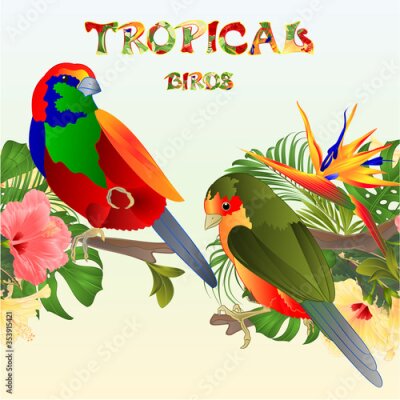 Papier peint  Tropical  seamless border  tropical birds Euplectes and tropical flowers Strelitzia  and  pink and yellow hibiscus palm,philodendron and ficus watercolor vintage vector 