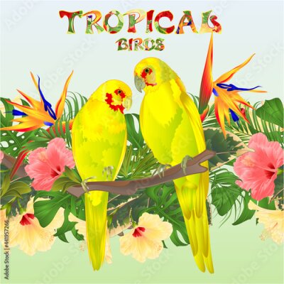 Papier peint  Tropical  seamless border  tropical birds parots yellow Indian Ringneck alexander and Strelitzia  and  pink and yellow hibiscus palm,philodendron and ficus vintage watercolor vector illustration